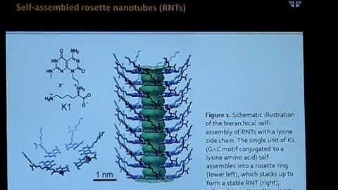 Rosette nanotubes for drug encapsulation and slow release - Video abstract: 18755