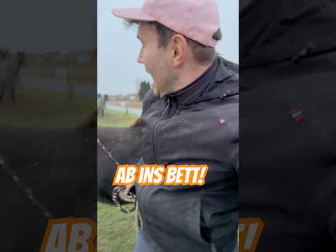 Aktuelle Pläne kombiniert mit sturen Stuten -perfect Match!