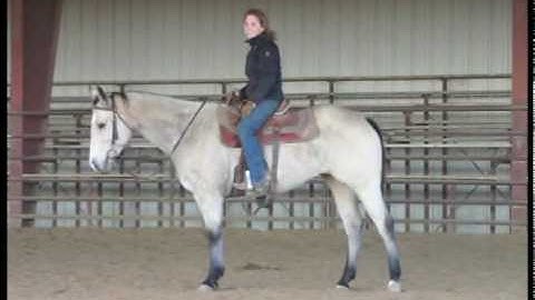 Valley View Ranch - Sarahs Smooth Arrow -  *For up-to-date info, price, etc., go to our website*