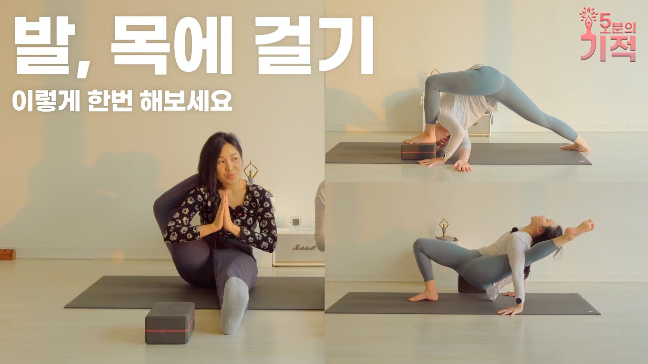 [에카파다시르사아사나]를 위한 해부학적 접근 방법들✨ 천천히 호흡하며 따라 해보세요🧘🏻‍♀️