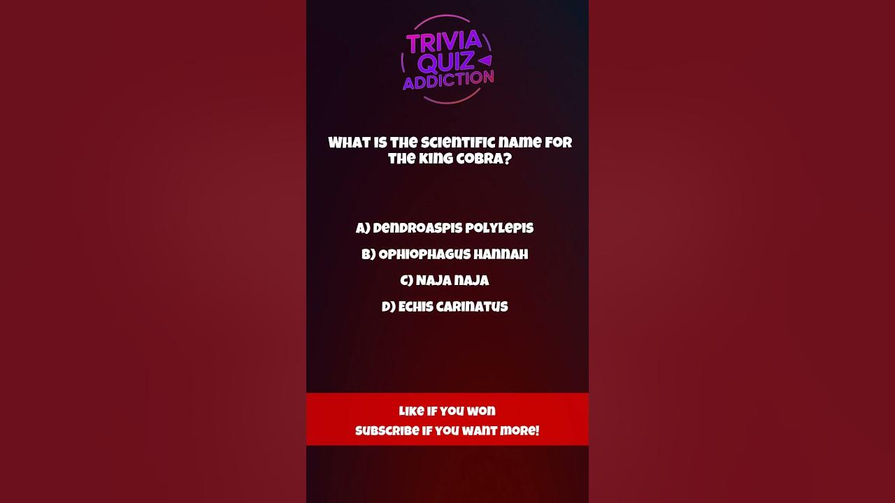 Scientific Name For Hawksbeard Scientific Name For Hawksbeard