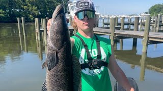 3 DRAGONS IN ONE DAY!!! | Snakehead fishing Upper Chesapeake Bay.