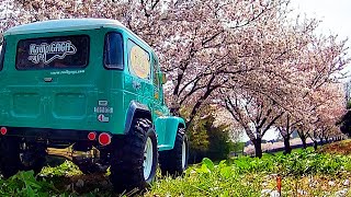 【RC】春なのでTAMIYA CC-01 トヨタ ランドクルーザー40 で 桜並木を走ってみた【ラジコンでお花見】