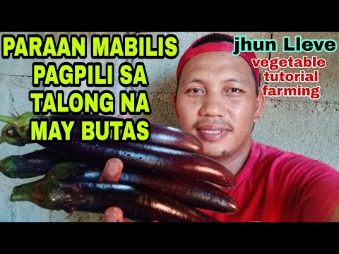 Video: Pagpili Ng Mga Pagkakaiba-iba Ng Multi-kulay Na Talong