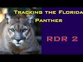 Florida Panther perfect pelt RDR2. tracked studied and killed