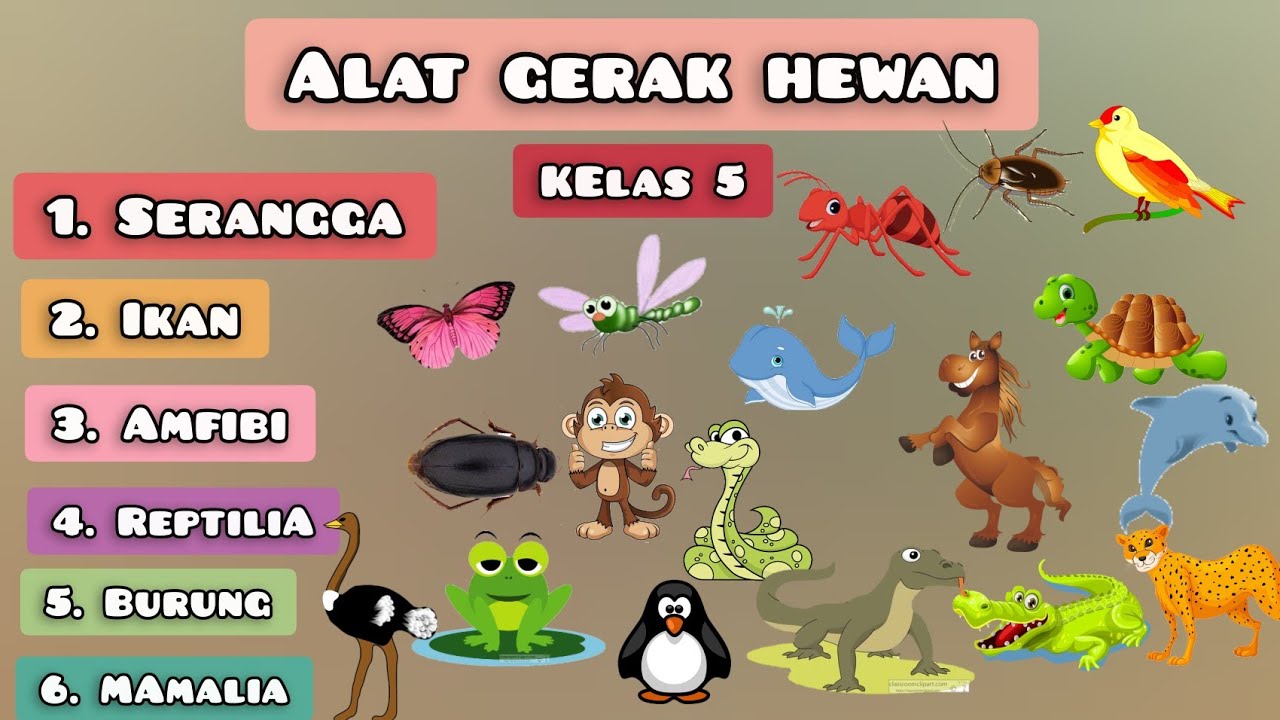  Alat  Gerak  Hewan  Kelas  5  lengkap dengan gambar dan  