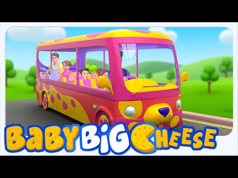 Baby Big Cheese | Les Roues de l’Autobus 🚌🎵 Chanson pour Enfants