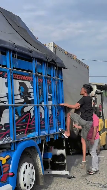 Muat mobil pun jadi yang penting jadi uang⁉️Wahyu abadi😱 #truckmbois #trucklintas #wahyuabadi