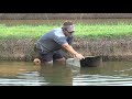 Placing spawning cans for channel catfish