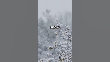 How Snowflakes Form #facts #science #universe #nature #snow #snowfall #snowflakes #temperature