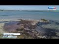 Учёные начали масштабные экологические исследования озер полуострова Крым