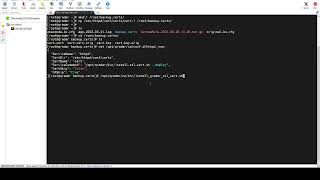 Section 13 - Working with QRadar Console - Lecture 6: Reverting SSL Certificate to Locally Signed