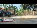 Jemur padi di halaman desa