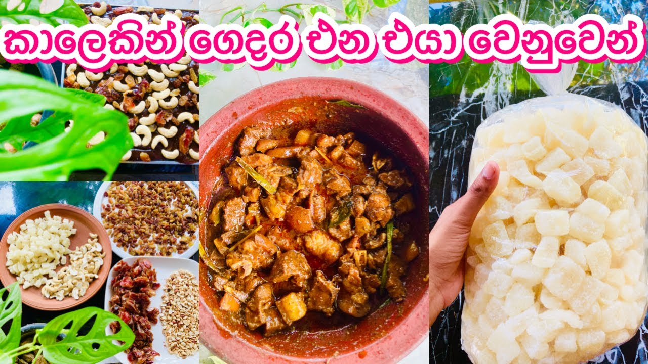 Husband කාලෙකින් ගෙදර එන දවසට මගේ අතින් හැදෙන කෑම || Living Alone || Day Vlog || My Diary