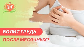 🤷‍♀️ Почему болит грудь после менструации?