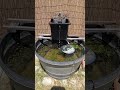 自然にろ過される　エコビオトープ