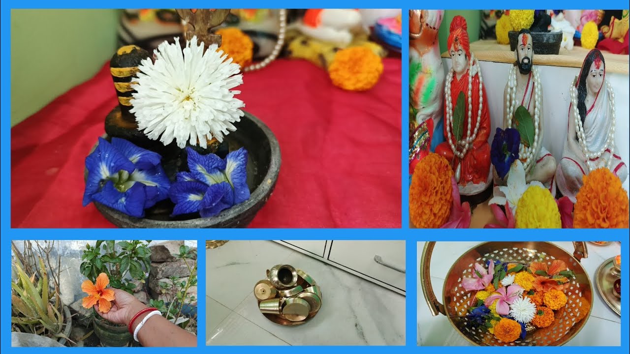 আমার ছাদ বাগানের ফুল দিয়ে আমার সকল ঠাকুরের পায়ে অর্পণ করলাম 🌺🙏(@LAXMIR SONGSAR)