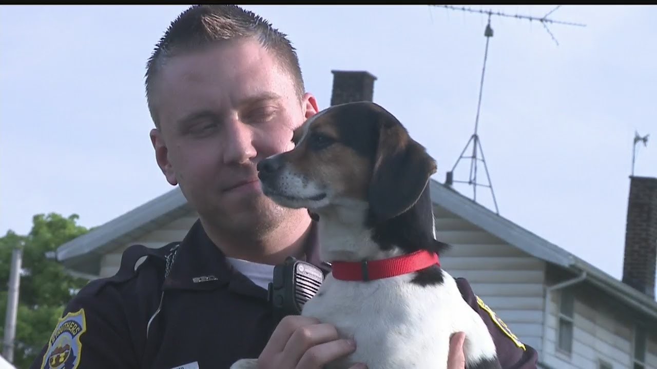 Abandoned house call leads to Struthers police officer adopting dog
