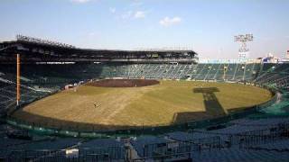 【分で見る】甲子園、年ぶり芝生張り替え