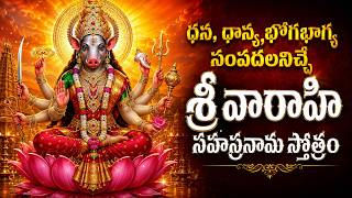ఈ స్తోత్రం వింటేకోరికలు నెరవేరుతాయి | Varahi Sahasranamam...