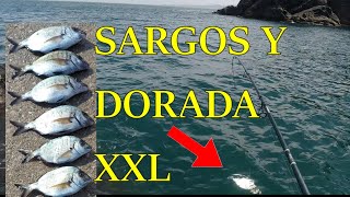 Con este sistema la pesca está asegurada.