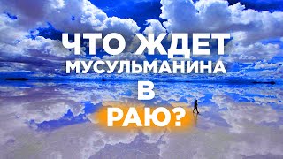 Вы попали в РАЙ. Что вас ждет дальше?