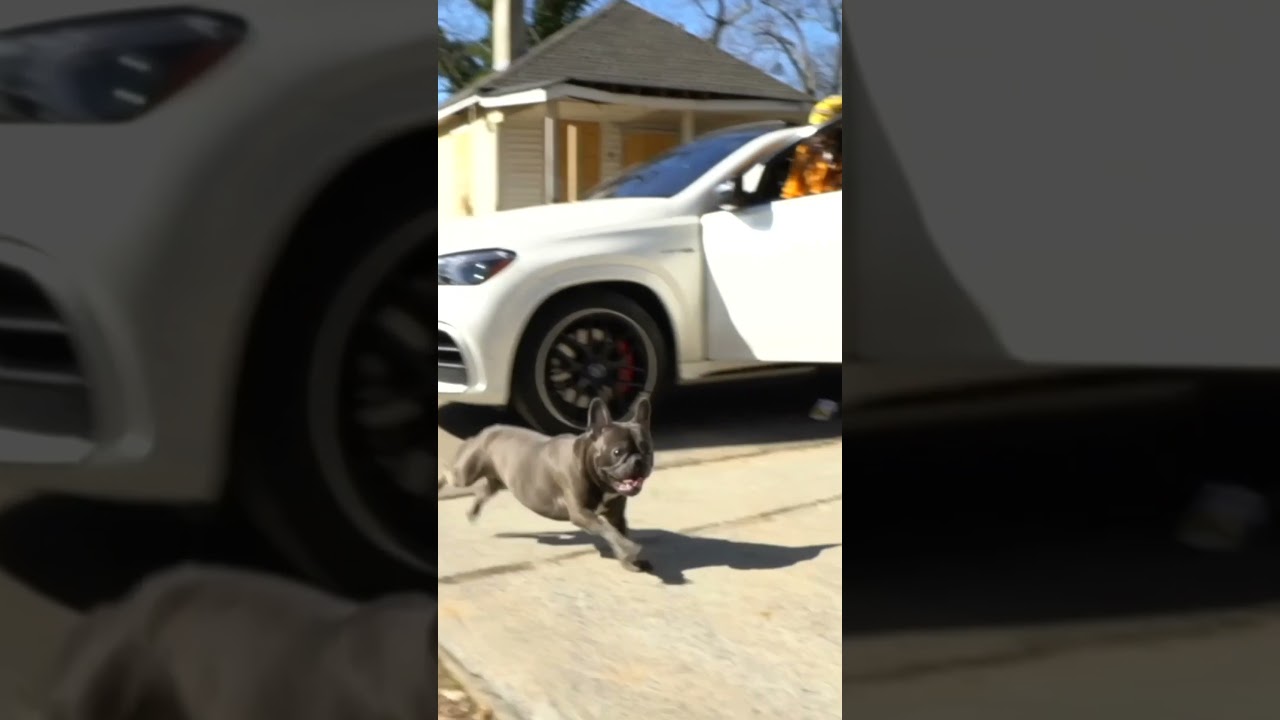 🫵🏽 know you ⬆️ ain't none to 🤫Just let them 🥷🏽 hate" "Let Em Hate" 