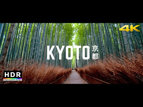 Vidéo: La forêt de bambous de Kyoto : le guide complet