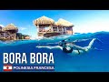 Bora Bora | Una belleza de la Polinesia Francesa.