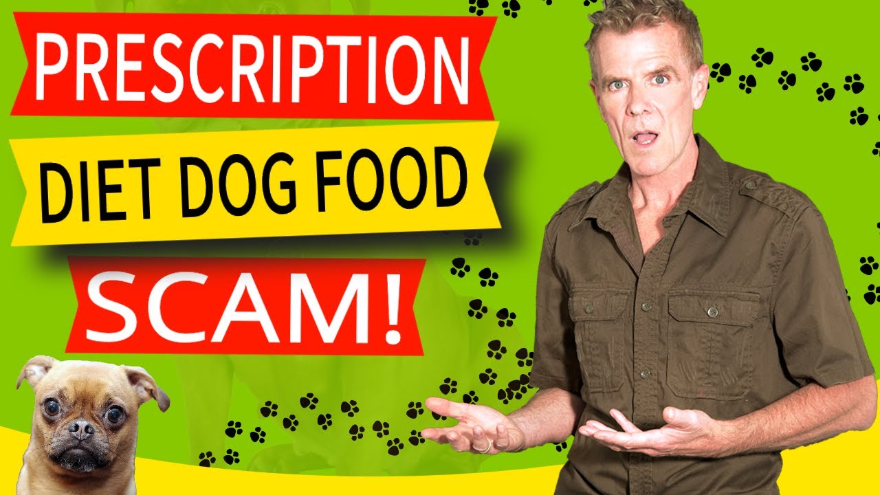 Prescription Diet Dog Food Scam - Avoid (This Is Healthier  Cheaper)