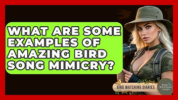 What Are Some Examples Of Amazing Bird Song Mimicry? - Bird Watching Diaries