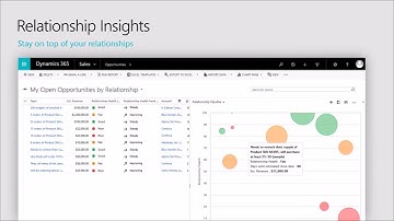 Relationship Insights in Dynamics 365
