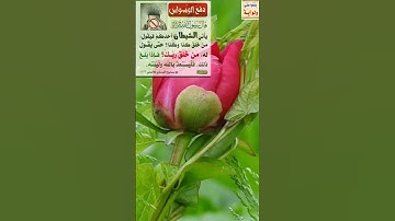 القرآن  الكريم  تلاوة  من  سورة التوبة  الشيخ  سعود  الشريمholy  quran
