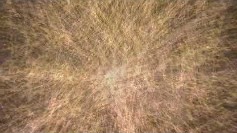 "Desires," by Constantine P. Cavafy