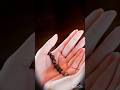 নামাজ ছাড়া জীবন অন্ধকার!"হ্যাশট্যাগ:#NamazIsLife #IslamicShorts #PrayerReminder #DeenOverDunya
