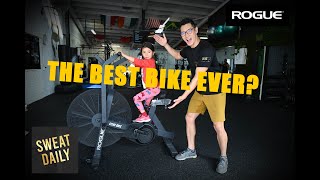 SHOULD I BUY A ROGUE AIR BIKE?  | Is the Echo Bike Worth It? | Best Cardio Equipment Home Gym