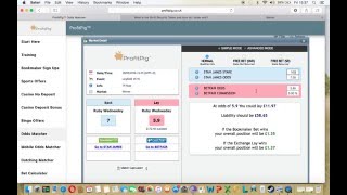Arbitrage Betting - ProfitPig Software screenshot 3