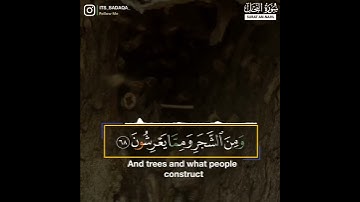 حالات واتس اب القران / عبدالرزاق الدليمي / سورة النحل {وَأَوْحَىٰ رَبُّكَ إِلَى النَّحْلِ}