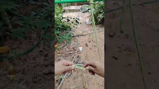 Outdoor suspension knot system accurately controls the suspension position of objects#practical#knot