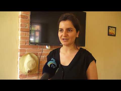 კანონთან კონფლიქტში მყოფი პირების ბიზნეს საქმიანობის განვითარებას მხარდაჭერა