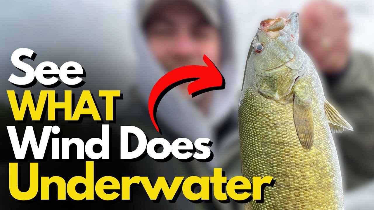 Underwater Footage of HOW Wind Affected These Smallmouth