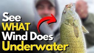 Underwater Footage of HOW Wind Affected These Smallmouth