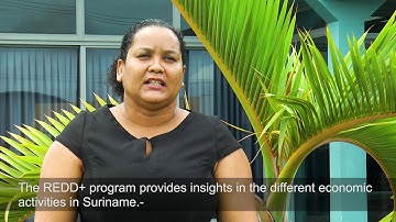 National Forest Monitoring System for Suriname_ Geoportal