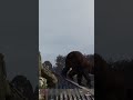 Dayz Xbox Server Bear Warz: Sinystock Bear Hunt.