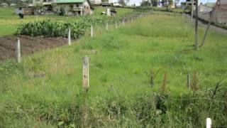 Terrenos en Cuenca - Camino Viejo a Baños -  SST194