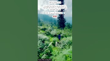 " في جنةٍ عالية.. " القارئ عبدالرحمن مسعد 😴💙