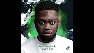 Dustinho - Music Saved My Life (Healthy Mix)