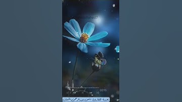 آيات جميلة بصوت الشيخ : انس عبد الرحمن الميمان