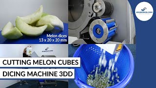 Machine Cutting Melon Cubes | Vegetable Dicing Machine 3DD | Diced Melons