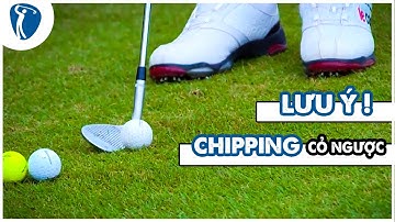 CHIPPING trong Cỏ ngược - Những điều cần LƯU Ý | Golf EZ